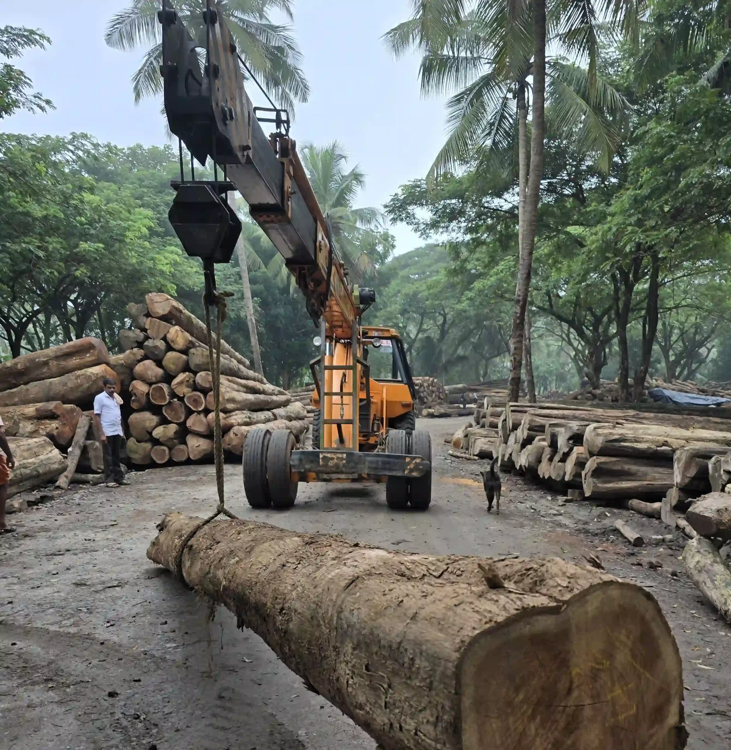crane service in kerala